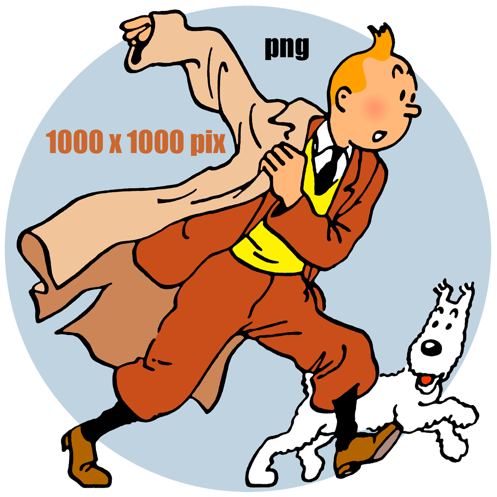 Imagen de Tintín y Milú